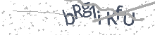 If your CAPTCHA image does not appear within five seconds, please hit the refresh button on your browser